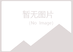 公主岭盼山旅游有限公司